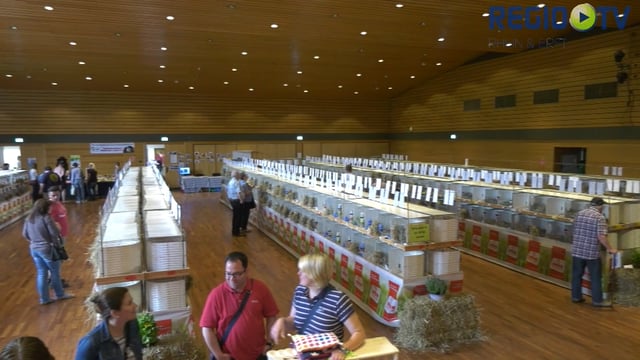 Meerschweinchenausstellung in Quadrath-Ichendorf