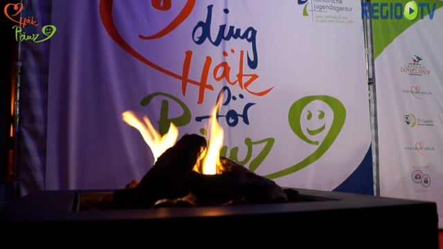 2. Benefiz-Gala DING HÄTZ FÖR PÄNZ